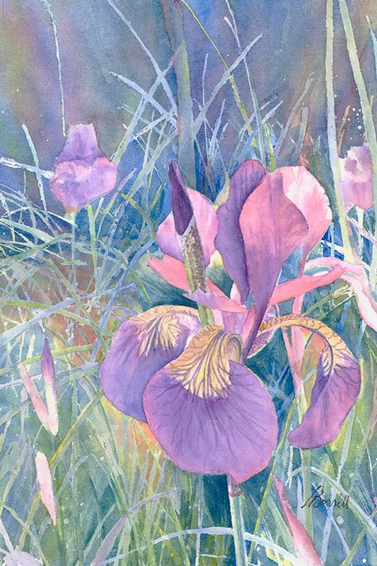Iris -watercolour Art card